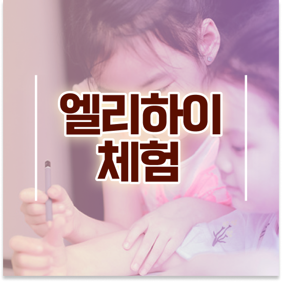  초등 5학년 엘리하이 초등 탄탄하게!