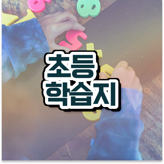  초등 6학년 초등저학년영어과외 엘리하이로