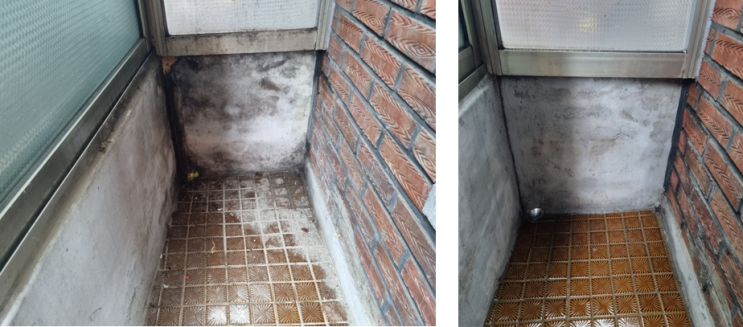  오래된 단독주택 이사청소 [내돈내산] 숨고에서 찾은 삐까뻔쩍