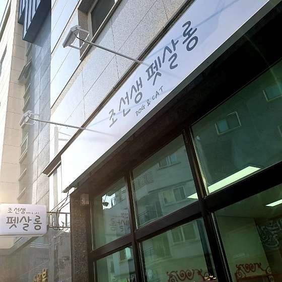 사진 2