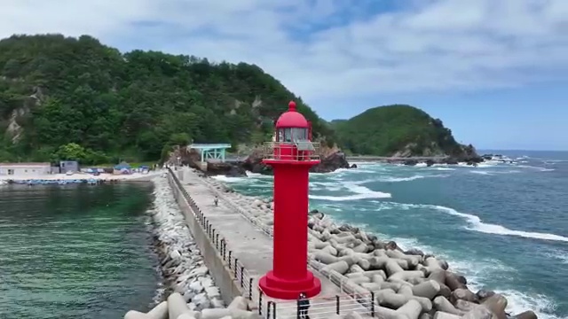  산림기사 시험일정 산림기사 응시자격 집에서 온라인으로 쉽고 빠르게 성공한 후기