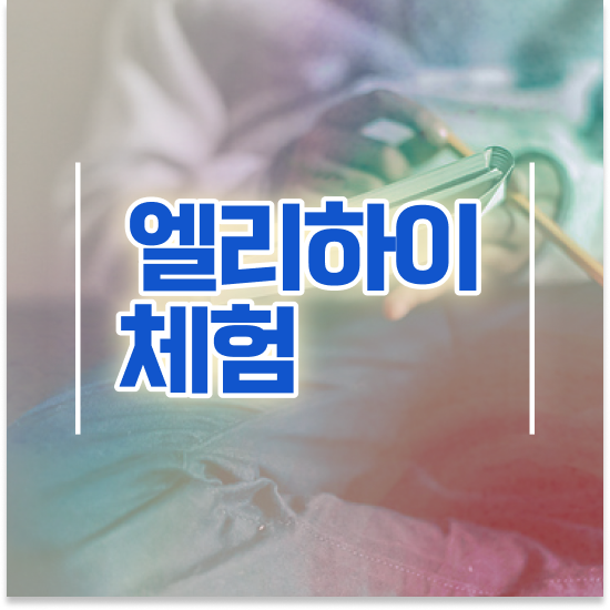  11세 엘리 하이교재가격 공부 습관 만들기