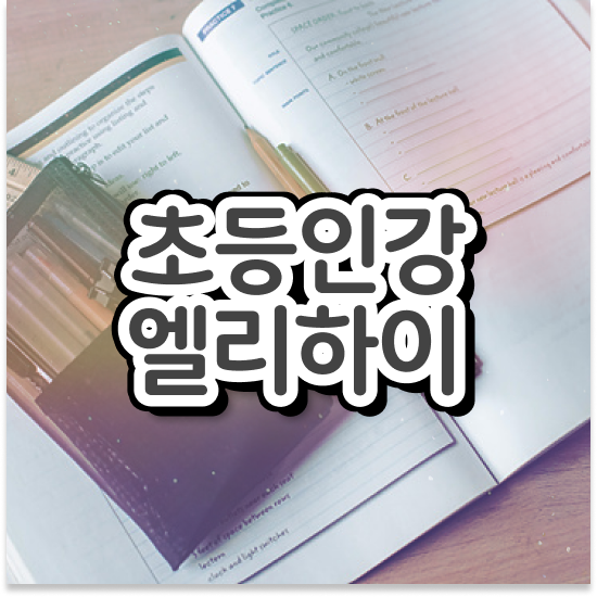  초등 1학년 엘리하이 초등 홈스쿨링도 가능