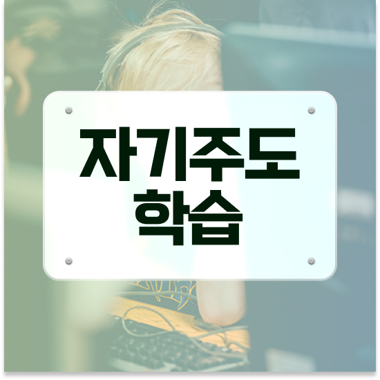 초등 3학년 초등학생 학습지 엘리하이로 실제 후기
