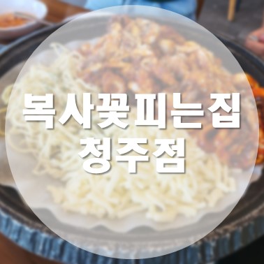  [국내/청주] 율량동 쭈꾸미 맛집 복사꽃피는집 청주점 쭈치파세트