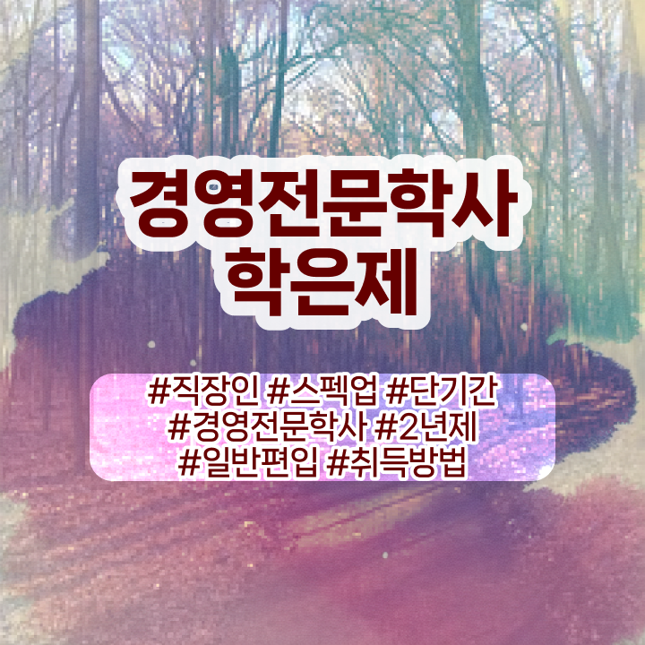  경영학 경제학 , 학점은행제전문학사 실무경력 없어도 학은제로 편하게 완료한 전략