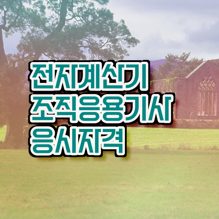 전자계산기조직응용기사 시험자격 집에서 온라인으로 반 년만에 준비한 비법