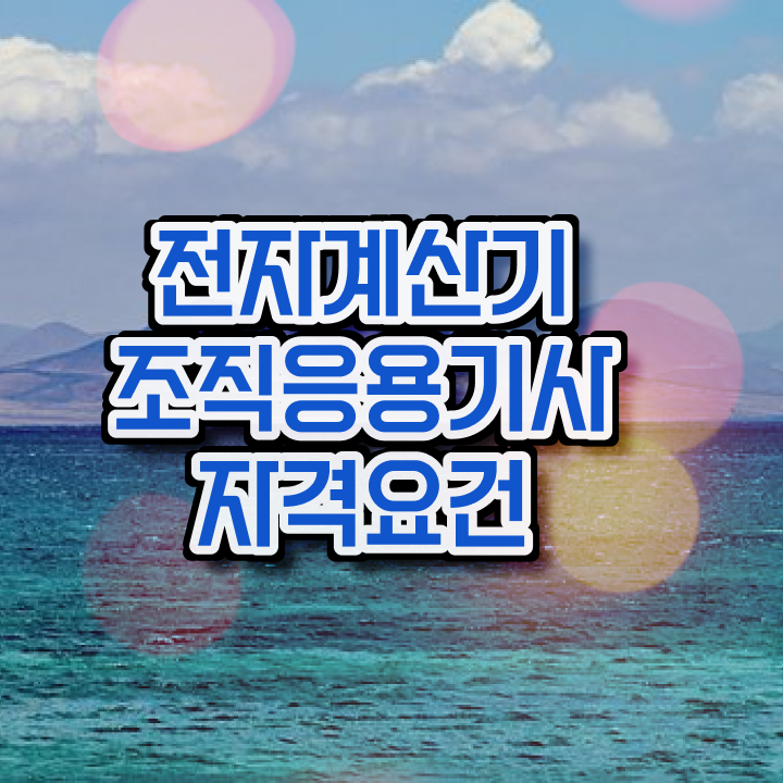  전자계산기조직응용기사 응시조건 온라인 과정으로 간단하게 끝낸 전략