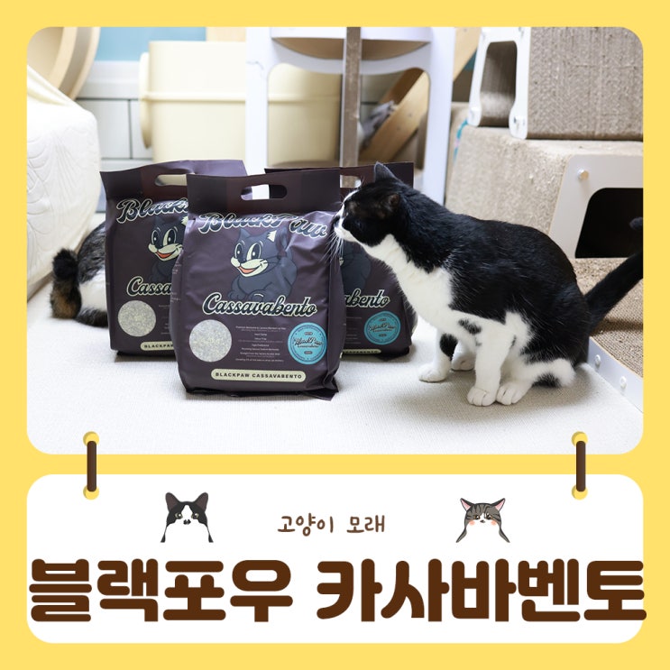  최적의 배합 블랙포우 카사바벤토 고양이모래추천