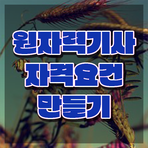  원자력기사 자격요건 원자력기사 취득자격 독학으로 4달만에 완료한 팁