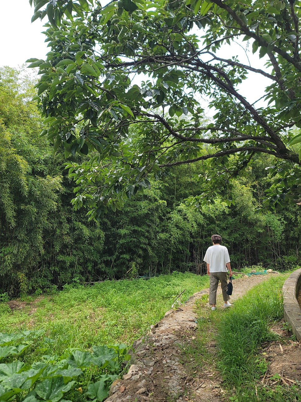 다강산방 사진 4