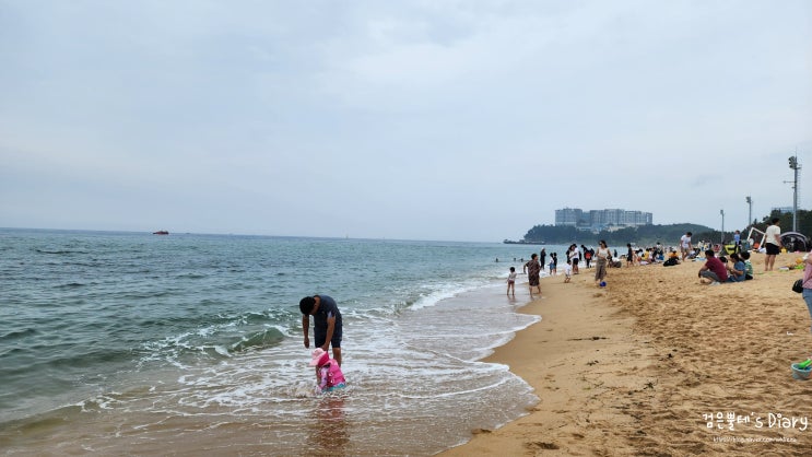  속초 해수욕장 해변 대관람차 주차 강원도 바다 당일치기 여행 아이랑 가볼만한곳