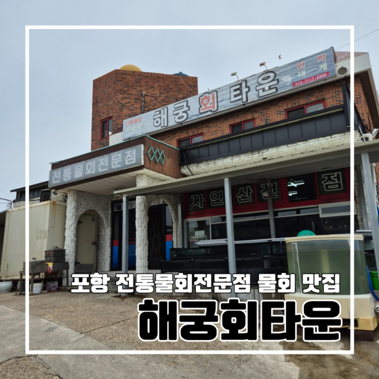  포항 구룡포 전통물회 맛집 해궁회타운 현지인 추천