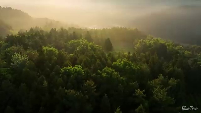  수산물품질관리사 자격증 , 인기있는 이유