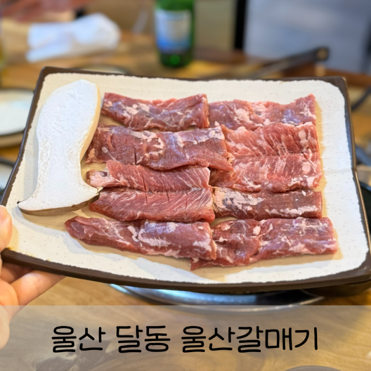  울남 달동 남구청 근처 갈매기살 맛집 <울산갈매기> +무료 짜장면