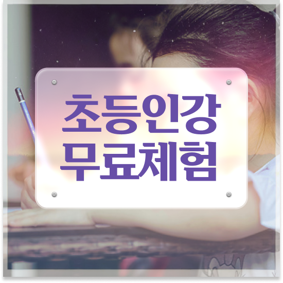  11세 초등학교 학습지 엘리하이로 커리큘럼 정리