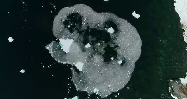  수산물품질관리원 자격증 , 초단기 준비했던 비법