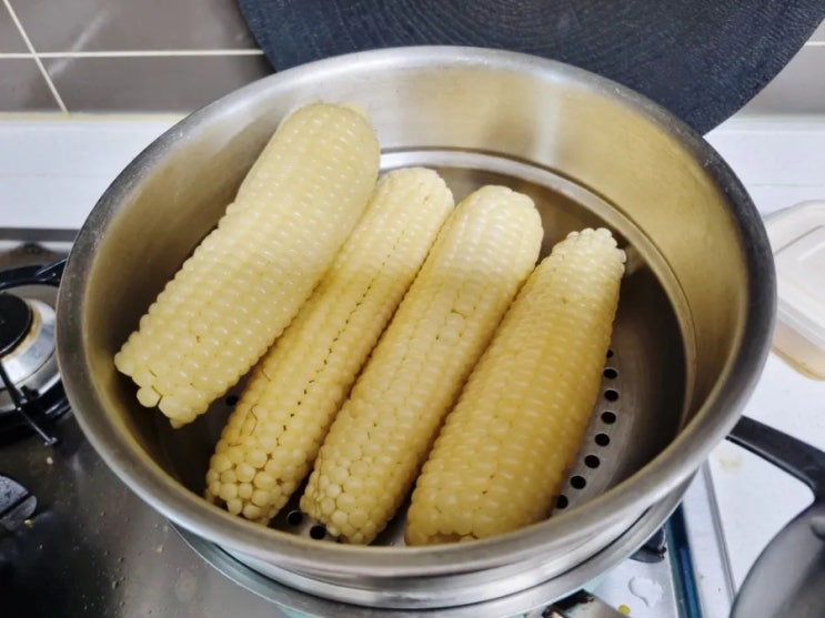  일상포토덤프 4일차