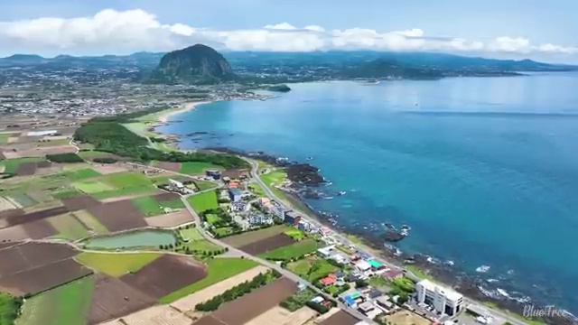  학점은행제 미용학과 , 인강만 듣고 미용면허증 갖출 수 있었어요