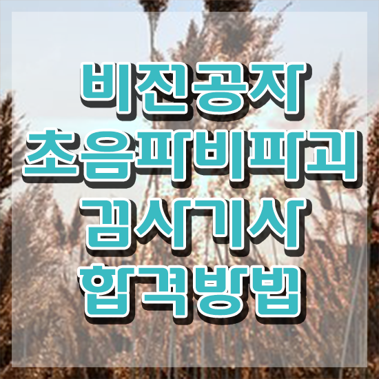  초음파비파괴검사기사 시험응시조건 온라인으로 1학기에 끝낸 후기
