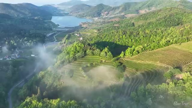  수산물품질관리사 자격증 , 쉽고 빠르게 완료한 노하우