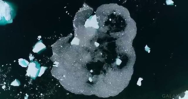  수산물 품질관리사 자격증 , 쉽게 성공한 방법