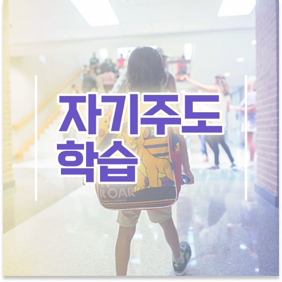 7세 엘리하이로
