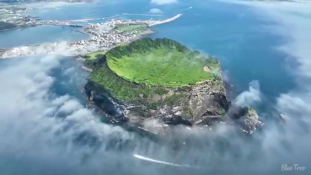  수산물 품질관리사 자격증 , 취득방법