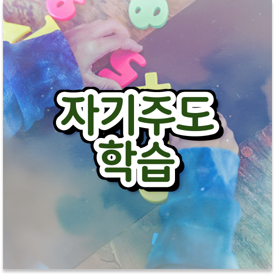  7세 엘리하이로 가격 후기