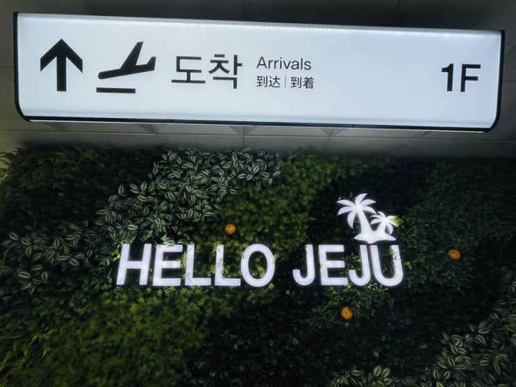  우당탕탕 윤윤이네 제주여행기 시작