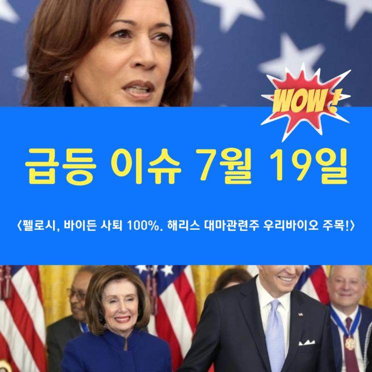 <b>펠로시</b> <b>바이든</b> 사퇴 결심했다 해리스 부통령 대마관련주... 