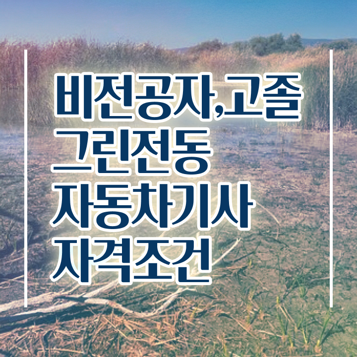  그린전동자동차기사응시자격 그린전동자동차기사 취득자격 집에서 온라인으로 15주 동안 끝낸 팁