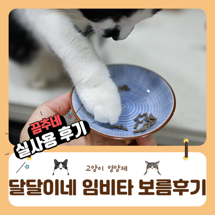  달달이네 임비타캣 반해버린 집사의 누구도 안시킨 추천리뷰요