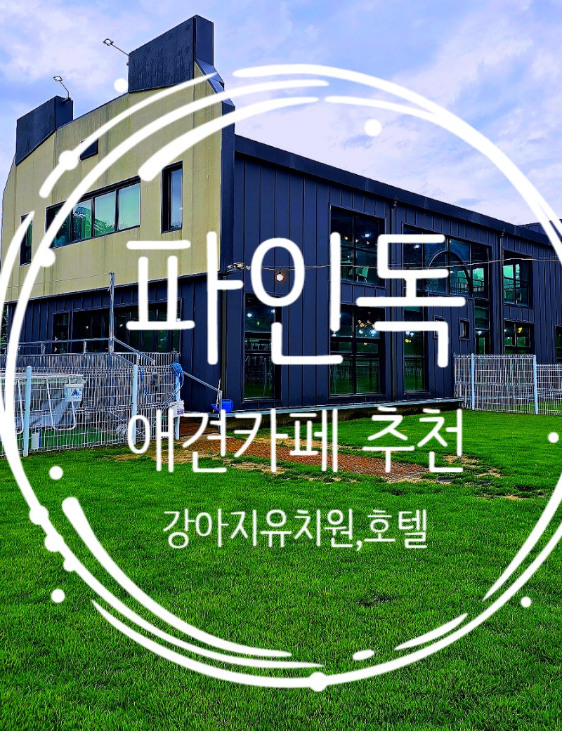 사진 5