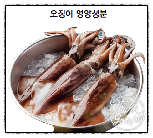  오징어 영양성분 오징어 효능