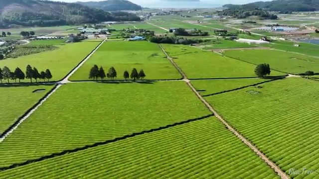  수산물품질관리원 자격증 , 편하게 완료한 노하우