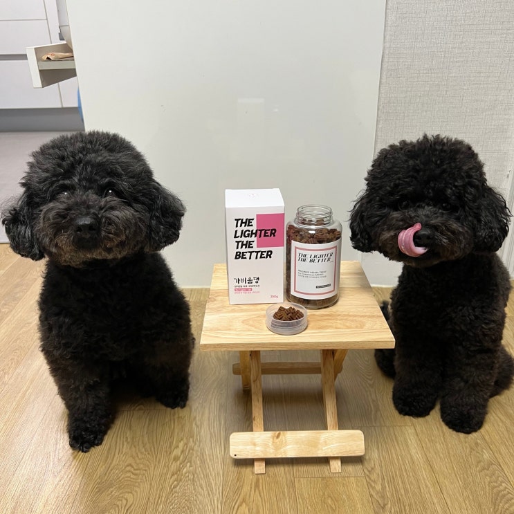  강아지 다이어트 영양제 가비웁댕으로 체중관리!