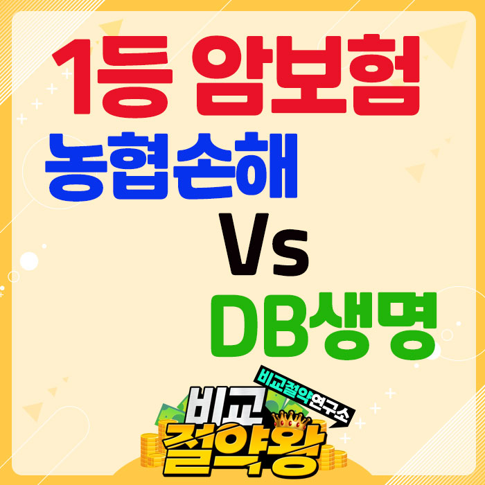  농협손해 DB생명 암보험 40대 여자 1등 회사 비교 안내자료