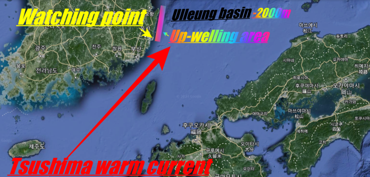  List of fish species encountered in 2023( Ulsan,Korea)(mainly larval-juvenile stage)