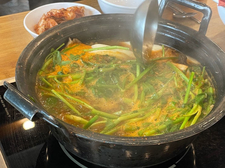  일산 등촌샤브칼국수 본점 미나리 샤브샤브 너무 향긋해