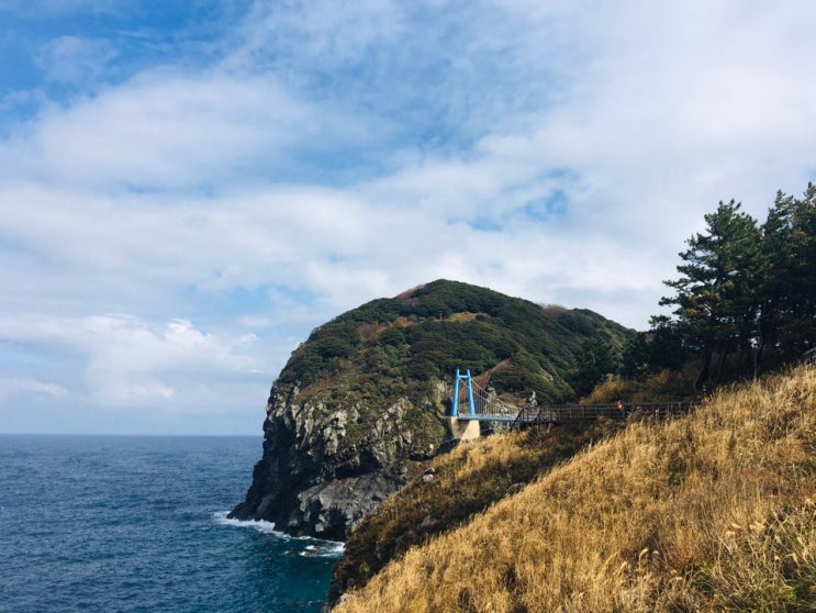  다시 가 볼 울릉도여행 : 바다와 육지 여행, 다이빙스팟 관음도 나리분지