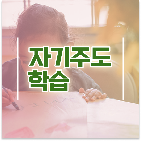  12세 초등학교 학습지 엘리하이로 알차게