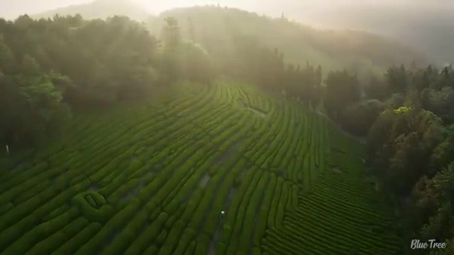  렌트 , 진짜 합치된 절세 초기 비용 없이 시작해보세요 !