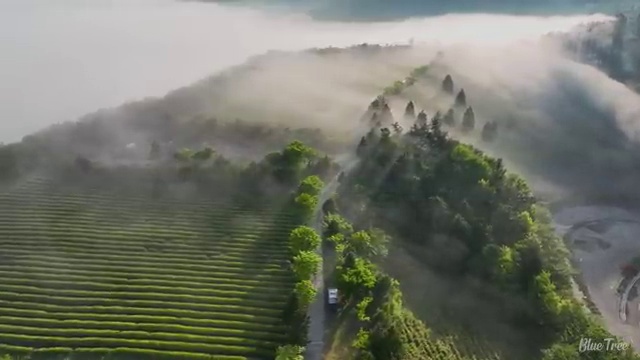  수산물품질관리사 자격증 , 취득방법
