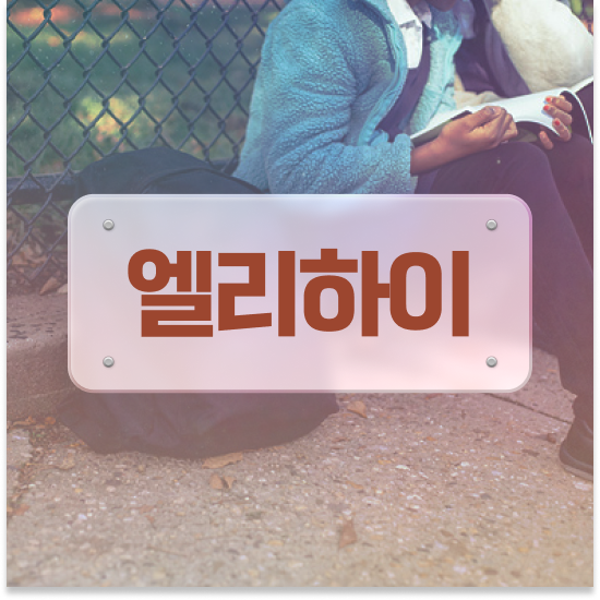  초등 3학년 과학 영재교육원 엘리하이로
