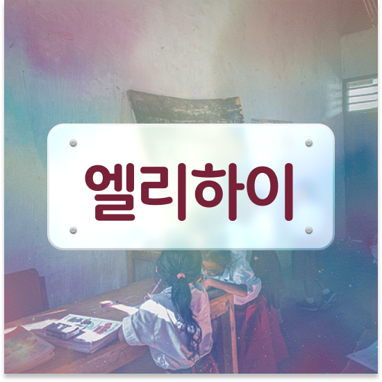  초등 3학년 엘리하이로 가격 후기