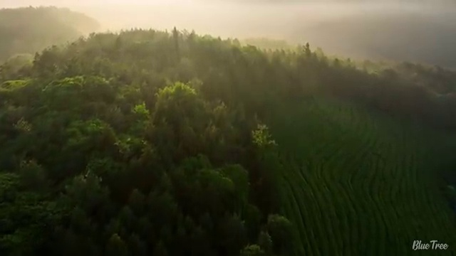  강동구 성내2동 세면대물막힘 전쟁에서 승리하기