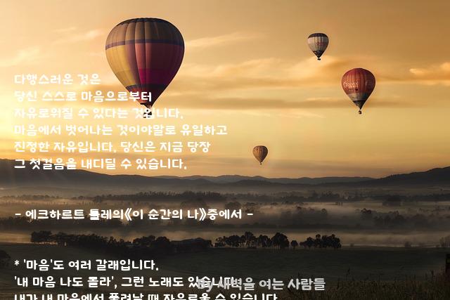 .......다행 .......다행