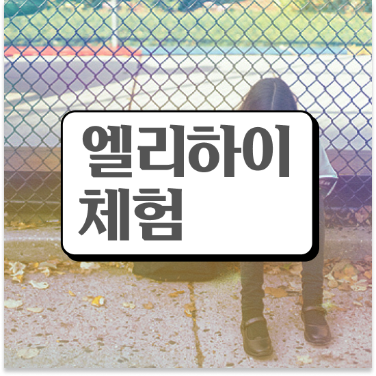  초등 6학년 엘리하이초등교재 정보 공유