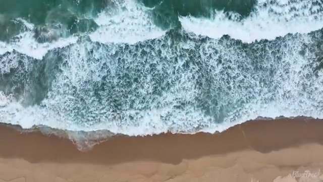  수산물 품질관리사 자격증 , 활용 방법과 전망